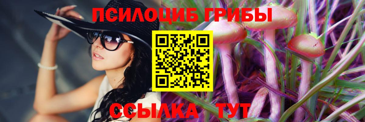Псилоцибиновые грибы Cubensis Сердобск